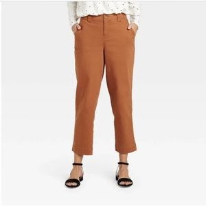 Rust Brown High-Rise Pants Women’s 6 Jeans Straight Cropped Ankle Fall Halloween